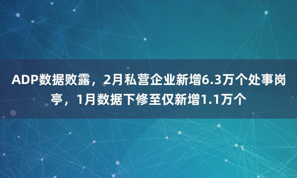 ADP数据败露，2月私营企业新增6.3万个处事岗亭，1月数据下修至仅新增1.1万个