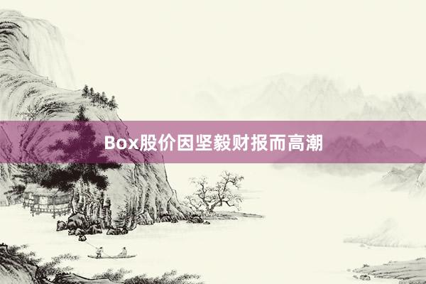 Box股价因坚毅财报而高潮