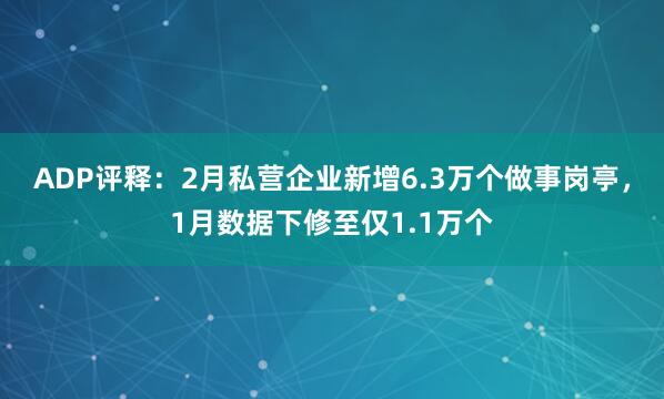 ADP评释：2月私营企业新增6.3万个做事岗亭，1月数据下修至仅1.1万个