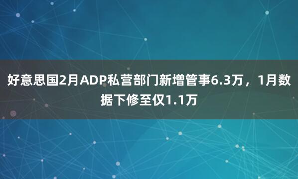 好意思国2月ADP私营部门新增管事6.3万，1月数据下修至仅1.1万