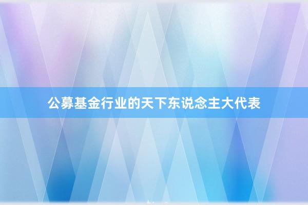 公募基金行业的天下东说念主大代表