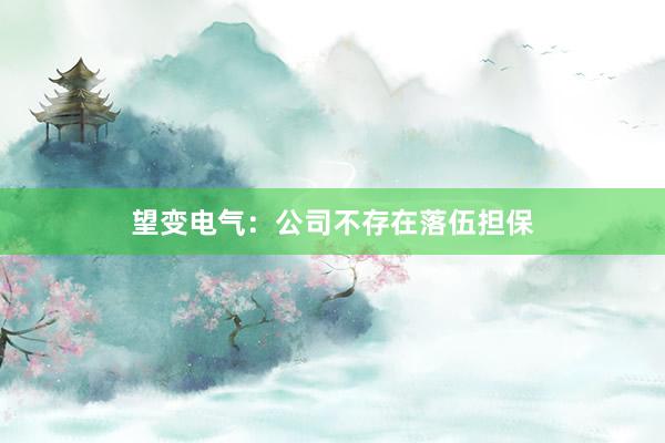 望变电气：公司不存在落伍担保
