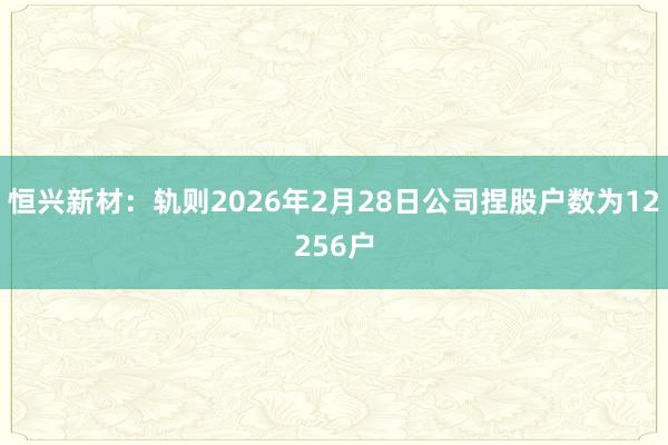 恒兴新材：轨则2026年2月28日公司捏股户数为12256户