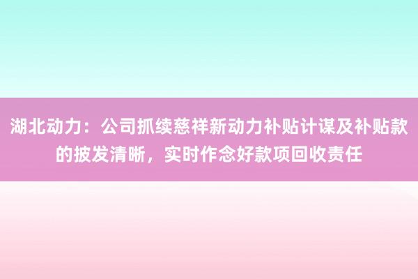 湖北动力：公司抓续慈祥新动力补贴计谋及补贴款的披发清晰，实时作念好款项回收责任