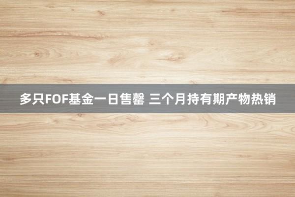 多只FOF基金一日售罄 三个月持有期产物热销