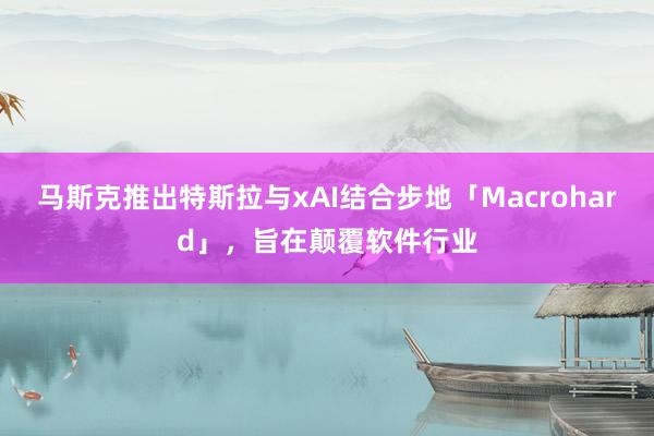 马斯克推出特斯拉与xAI结合步地「Macrohard」，旨在颠覆软件行业