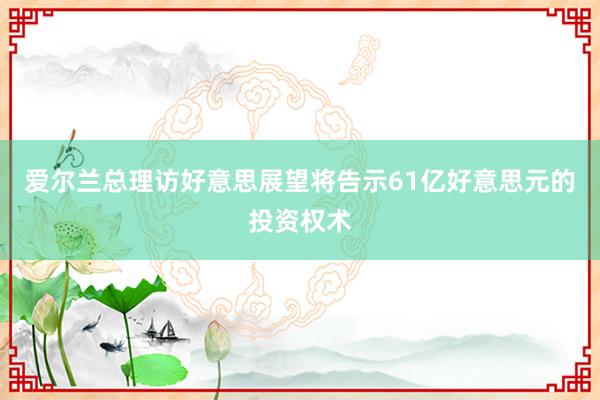 爱尔兰总理访好意思展望将告示61亿好意思元的投资权术