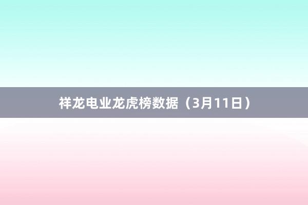 祥龙电业龙虎榜数据（3月11日）