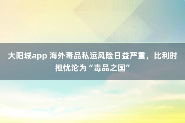 大阳城app 海外毒品私运风险日益严重，比利时担忧沦为“毒品之国”