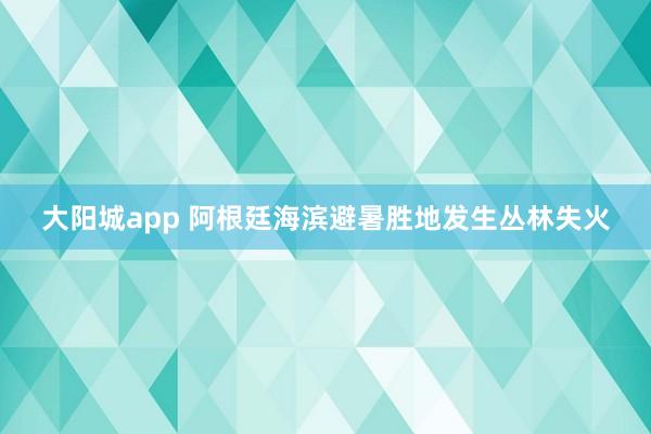 大阳城app 阿根廷海滨避暑胜地发生丛林失火