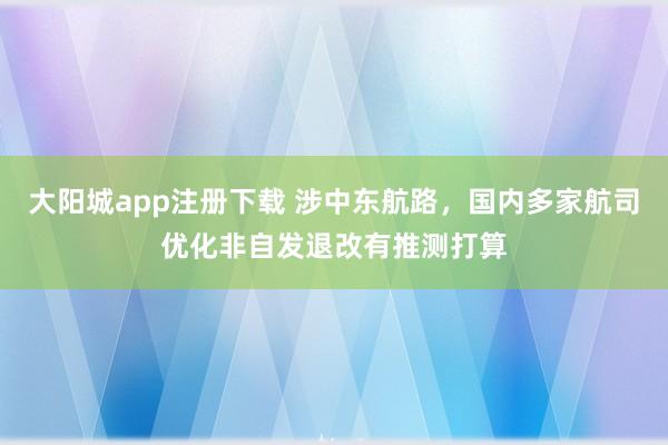 大阳城app注册下载 涉中东航路，国内多家航司优化非自发退改有推测打算