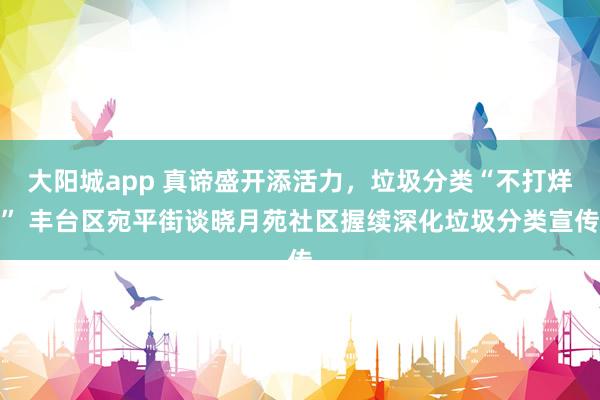 大阳城app 真谛盛开添活力，垃圾分类“不打烊” 丰台区宛平街谈晓月苑社区握续深化垃圾分类宣传