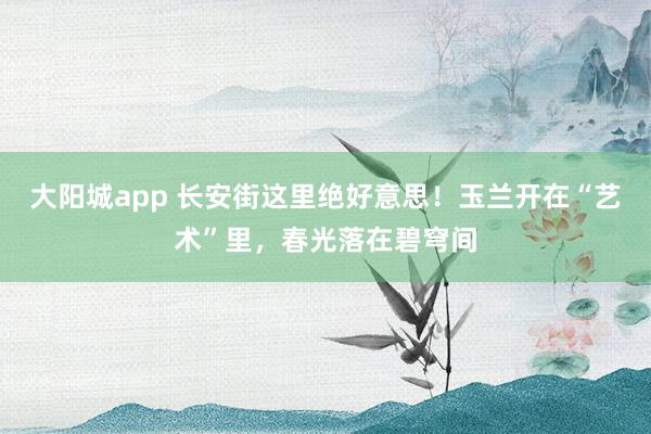 大阳城app 长安街这里绝好意思！玉兰开在“艺术”里，春光落在碧穹间