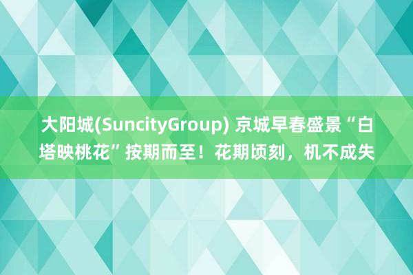 大阳城(SuncityGroup) 京城早春盛景“白塔映桃花”按期而至！花期顷刻，机不成失