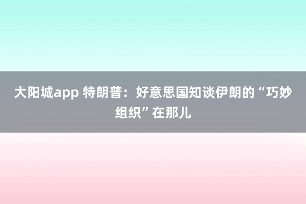 大阳城app 特朗普：好意思国知谈伊朗的“巧妙组织”在那儿