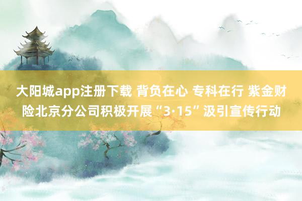 大阳城app注册下载 背负在心 专科在行 紫金财险北京分公司积极开展“3·15”汲引宣传行动