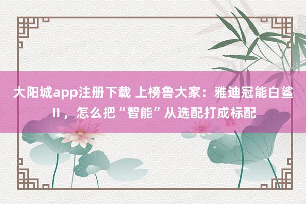大阳城app注册下载 上榜鲁大家：雅迪冠能白鲨Ⅱ，怎么把“智能”从选配打成标配