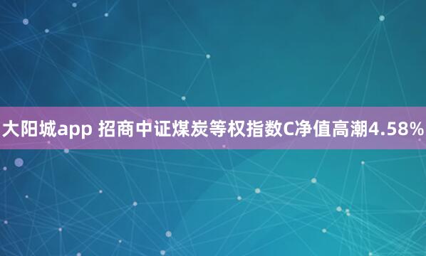 大阳城app 招商中证煤炭等权指数C净值高潮4.58%