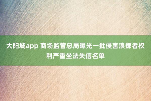 大阳城app 商场监管总局曝光一批侵害浪掷者权利严重坐法失信名单