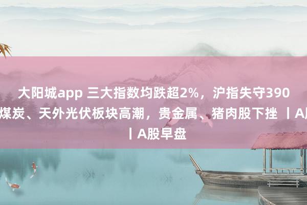 大阳城app 三大指数均跌超2%，沪指失守3900点，煤炭、天外光伏板块高潮，贵金属、猪肉股下挫 丨A股早盘