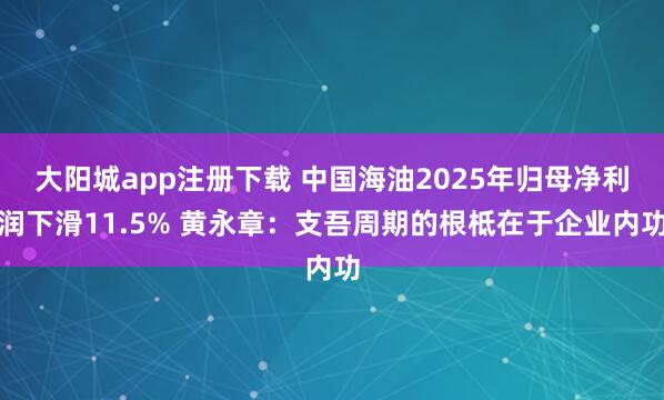 大阳城app注册下载 中国海油2025年归母净利润下滑11.5% 黄永章：支吾周期的根柢在于企业内功