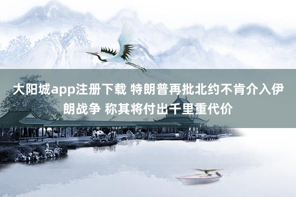 大阳城app注册下载 特朗普再批北约不肯介入伊朗战争 称其将付出千里重代价