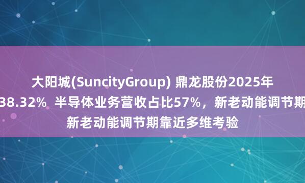 大阳城(SuncityGroup) 鼎龙股份2025年净利润同比增38.32%  半导体业务营收占比57%，新老动能调节期靠近多维考验