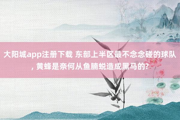 大阳城app注册下载 东部上半区最不念念碰的球队， 黄蜂是奈何从鱼腩蜕造成黑马的?