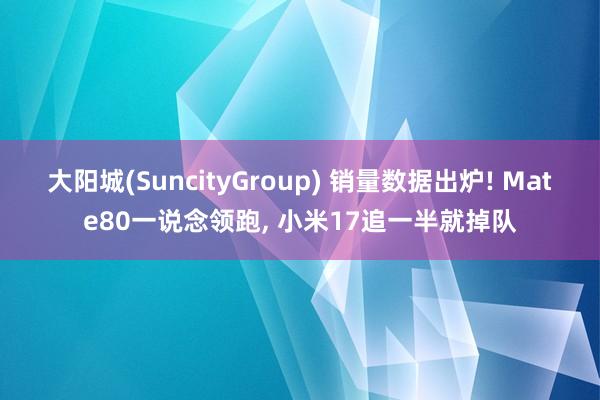 大阳城(SuncityGroup) 销量数据出炉! Mate80一说念领跑， 小米17追一半就掉队