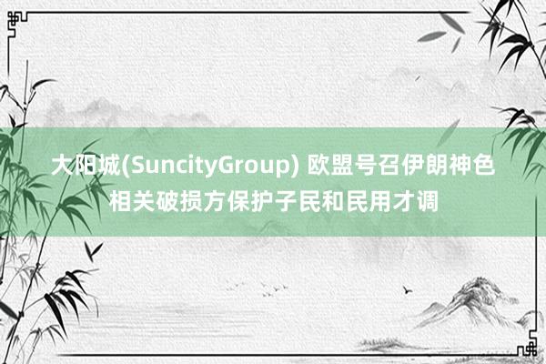 大阳城(SuncityGroup) 欧盟号召伊朗神色相关破损方保护子民和民用才调