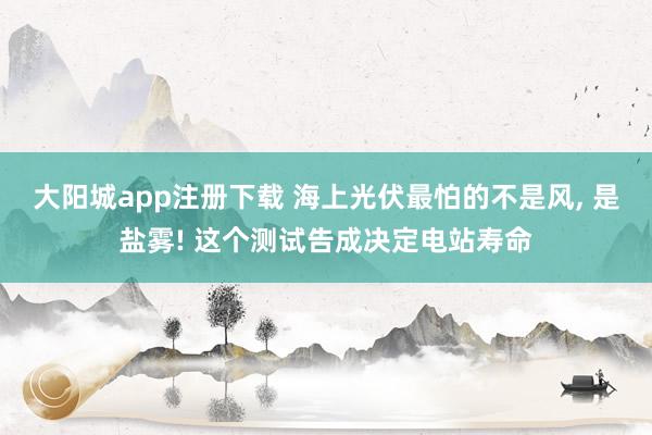 大阳城app注册下载 海上光伏最怕的不是风， 是盐雾! 这个测试告成决定电站寿命