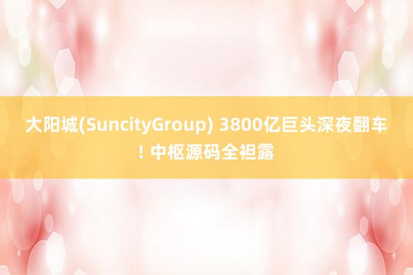 大阳城(SuncityGroup) 3800亿巨头深夜翻车! 中枢源码全袒露