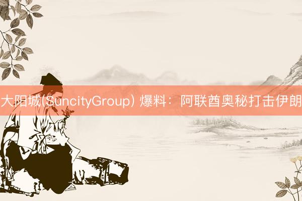 大阳城(SuncityGroup) 爆料：阿联酋奥秘打击伊朗