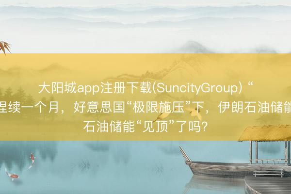 大阳城app注册下载(SuncityGroup) “经济狂怒”已捏续一个月，好意思国“极限施压”下，伊朗石油储能“见顶”了吗？
