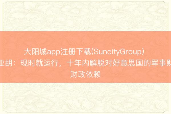 大阳城app注册下载(SuncityGroup) 内塔尼亚胡：现时就运行，十年内解脱对好意思国的军事财政依赖