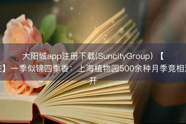 大阳城app注册下载(SuncityGroup) 【所在】一季似锦四季香：上海植物园500余种月季竞相洞开