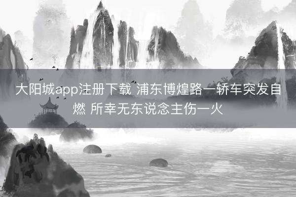 大阳城app注册下载 浦东博煌路一轿车突发自燃 所幸无东说念主伤一火
