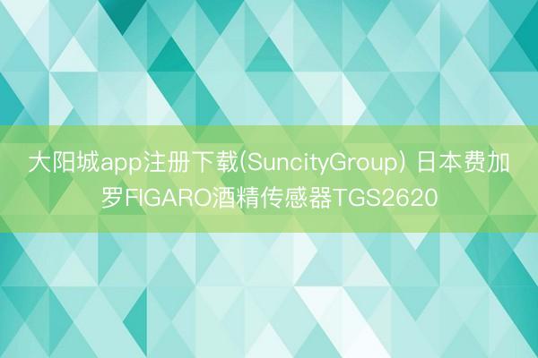 大阳城app注册下载(SuncityGroup) 日本费加罗FIGARO酒精传感器TGS2620