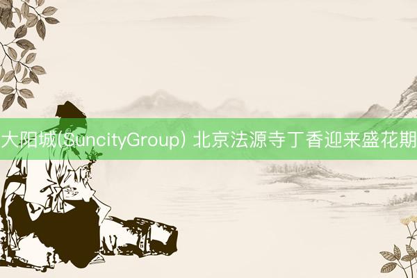 大阳城(SuncityGroup) 北京法源寺丁香迎来盛花期
